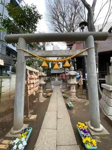 高円寺氷川神社の鳥居