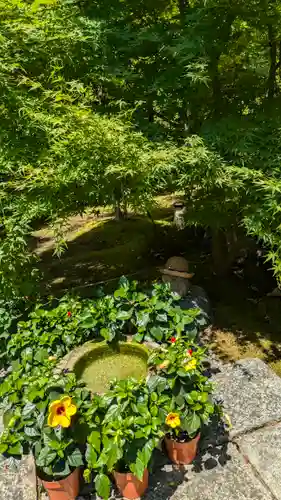 勝林寺(京都府)