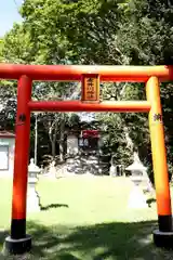 赤井川神社の鳥居