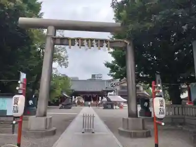 浅草神社の鳥居