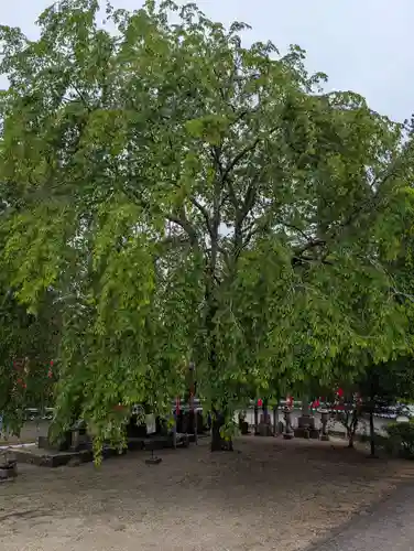 龍泉寺(岡山県)