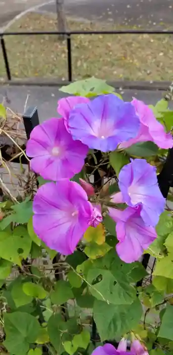 香取神社の自然