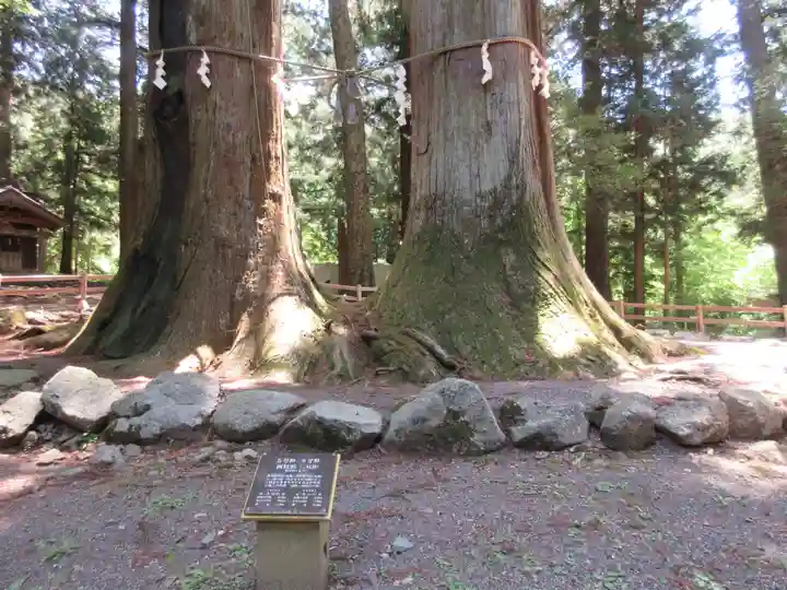 河口浅間神社のその他建物