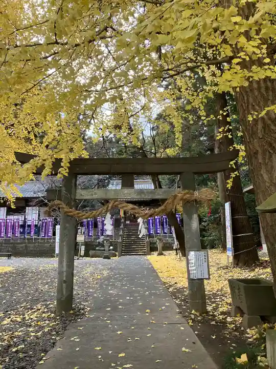 下野 星宮神社(栃木県)