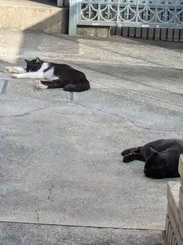 円照寺(東京都)