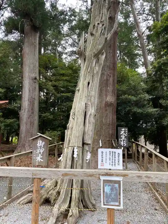 渭伊神社の自然