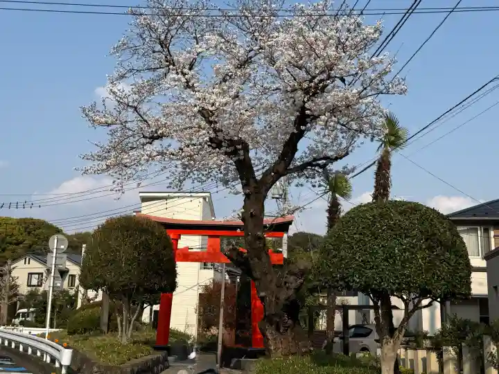 武蔵一宮氷川神社の{uncategorized: "未分類", other: "その他", undefined: "問題あり", building: "その他建物", grave: "お墓", sacred_gate: "鳥居", guardian: "狛犬", statue: "像", buddha: "仏像", history: "歴史", nature: "自然", garden: "庭園", animal: "動物", pagoda: "塔", temizu: "手水舎", mountain_gate: "山門・神門", sanctuary: "本殿・本堂", subordinate: "末社・摂社", art: "芸術", scenery: "景色", jizo: "地蔵", ema: "絵馬", goshuin: "御朱印", omikuji: "おみくじ", items: "授与品その他", amulet: "お守り", goshuincho: "御朱印帳", eats: "食事", festival: "お祭り", votive_dance: "神楽", shichigosan: "七五三参", wedding: "結婚式", experience: "体験その他", initially: "初詣", around: "周辺", anti_infection: "感染症対策"}