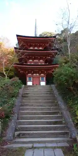 浄瑠璃寺の塔