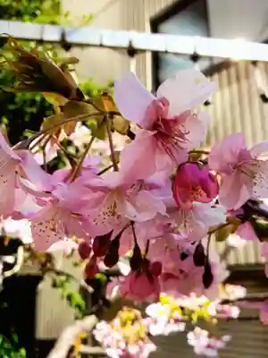 十番稲荷神社(東京都)