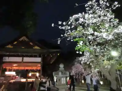 平野神社のその他建物