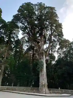 霧島神宮(鹿児島県)