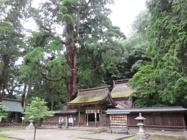 若狭姫神社(若狭彦神社下社)(福井県)