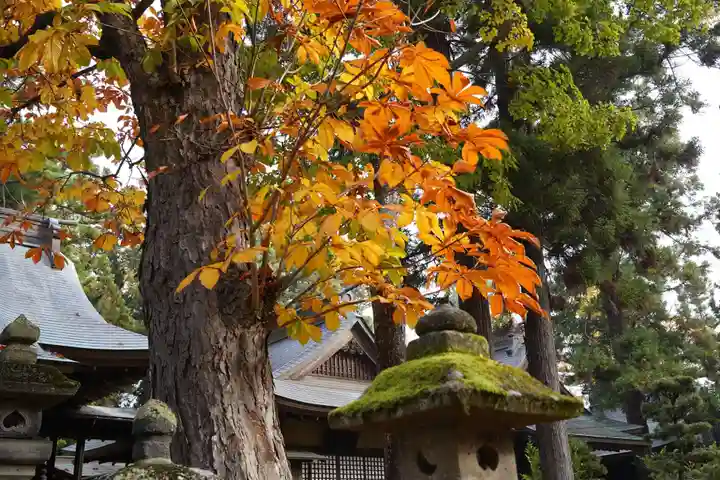 蠶養國神社の自然