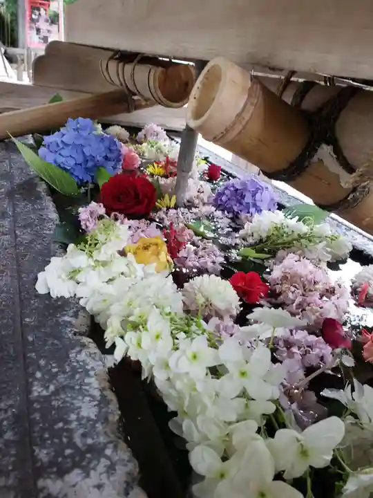 鳩森八幡神社(東京都)