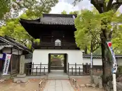 雲心寺の山門