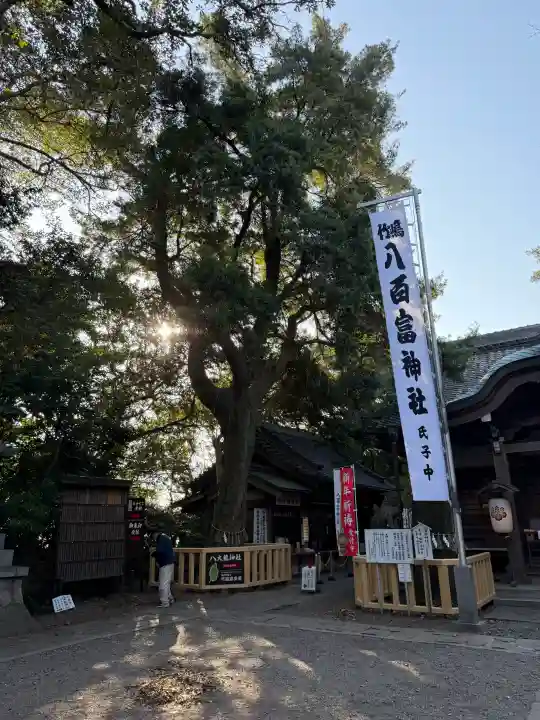 八百富神社の{uncategorized: "未分類", other: "その他", undefined: "問題あり", building: "その他建物", grave: "お墓", sacred_gate: "鳥居", guardian: "狛犬", statue: "像", buddha: "仏像", history: "歴史", nature: "自然", garden: "庭園", animal: "動物", pagoda: "塔", temizu: "手水舎", mountain_gate: "山門・神門", sanctuary: "本殿・本堂", subordinate: "末社・摂社", art: "芸術", scenery: "景色", jizo: "地蔵", ema: "絵馬", goshuin: "御朱印", omikuji: "おみくじ", items: "授与品その他", amulet: "お守り", goshuincho: "御朱印帳", eats: "食事", festival: "お祭り", votive_dance: "神楽", shichigosan: "七五三参", wedding: "結婚式", experience: "体験その他", initially: "初詣", around: "周辺", anti_infection: "感染症対策"}