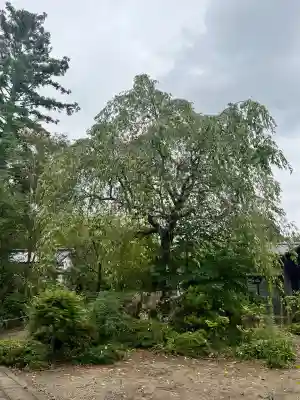 資福寺(宮城県)