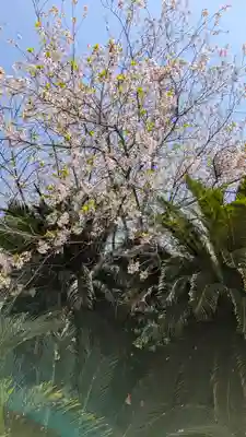 了徳院(大阪府)