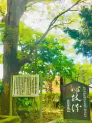 諏訪大神の建物その他