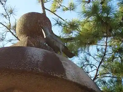 厳島神社(広島県)