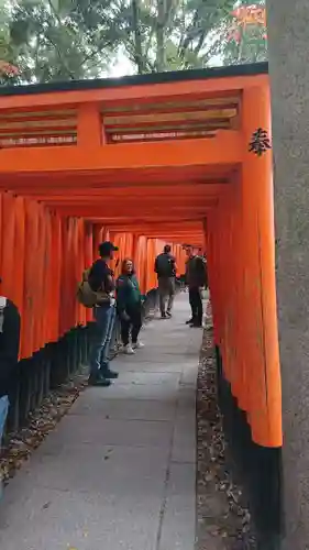 伏見稲荷大社の鳥居