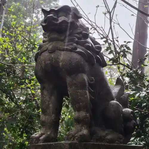 高天神社の狛犬