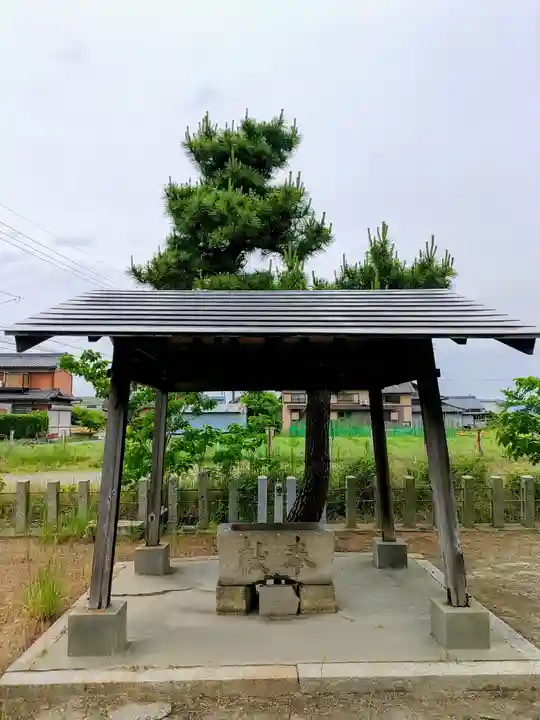 新政成神社の手水舎