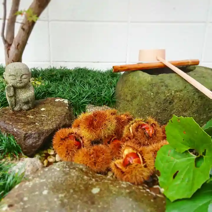 寿量山 速成寺の庭園