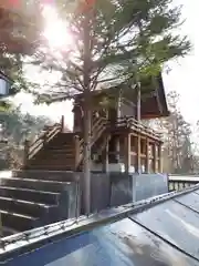 日居城野神社の本殿