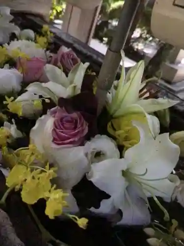 鳩森八幡神社の手水舎