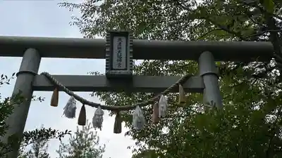 天津神明宮(千葉県)