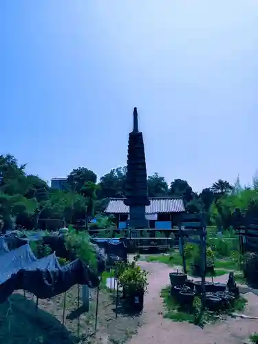 般若寺 ❁﻿コスモス寺❁(奈良県)