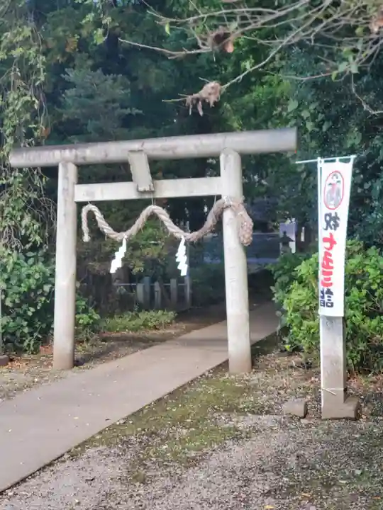 下野 星宮神社の鳥居