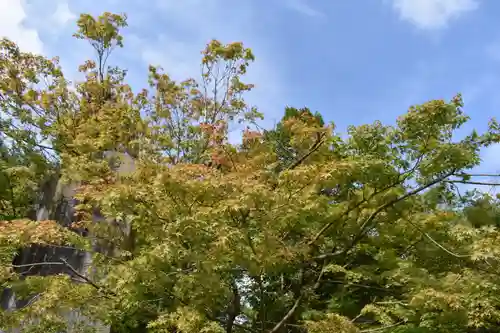 四柱神社の自然