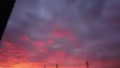 尾張大國霊神社（国府宮）の景色