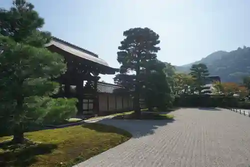 天龍寺の庭園