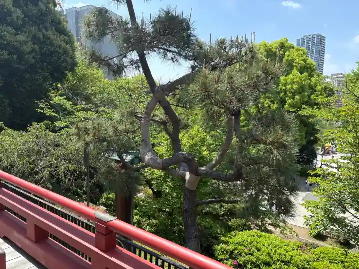 清水観音堂の{uncategorized: "未分類", other: "その他", undefined: "問題あり", building: "その他建物", grave: "お墓", sacred_gate: "鳥居", guardian: "狛犬", statue: "像", buddha: "仏像", history: "歴史", nature: "自然", garden: "庭園", animal: "動物", pagoda: "塔", temizu: "手水舎", mountain_gate: "山門・神門", sanctuary: "本殿・本堂", subordinate: "末社・摂社", art: "芸術", scenery: "景色", jizo: "地蔵", ema: "絵馬", goshuin: "御朱印", omikuji: "おみくじ", items: "授与品その他", amulet: "お守り", goshuincho: "御朱印帳", eats: "食事", festival: "お祭り", votive_dance: "神楽", shichigosan: "七五三参", wedding: "結婚式", experience: "体験その他", initially: "初詣", around: "周辺", anti_infection: "感染症対策"}