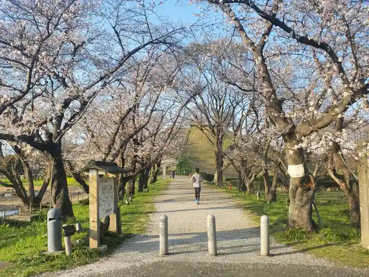 前玉神社(埼玉県)