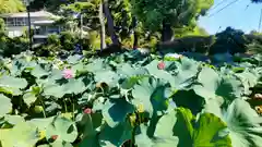 報徳二宮神社(神奈川県)