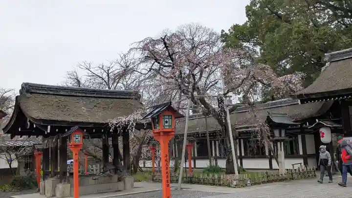 平野神社(京都府)