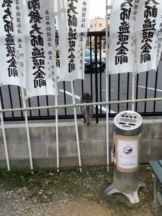 正栄寺の動物