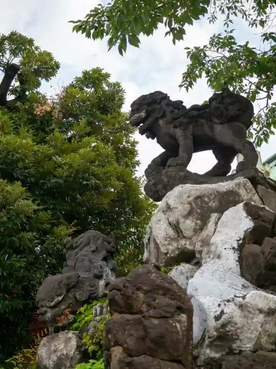 神田神社(神田明神)の狛犬