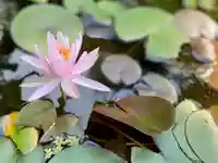 伊勢の国 四天王寺の自然