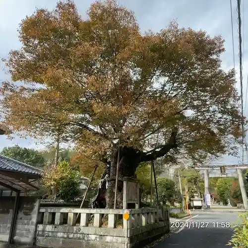 中山神社(岡山県)