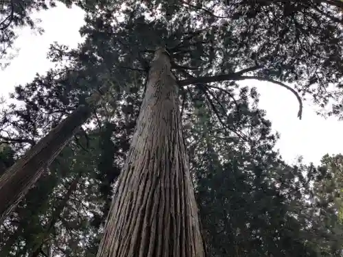 大皇器地祖神社(滋賀県)