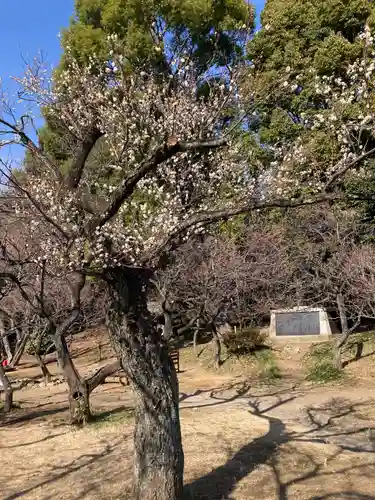 谷保天満宮(東京都)