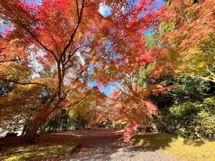 弘川寺(大阪府)
