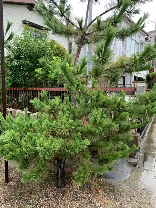 島頭天満宮の自然