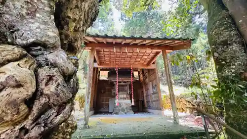 泉神社(福井県)