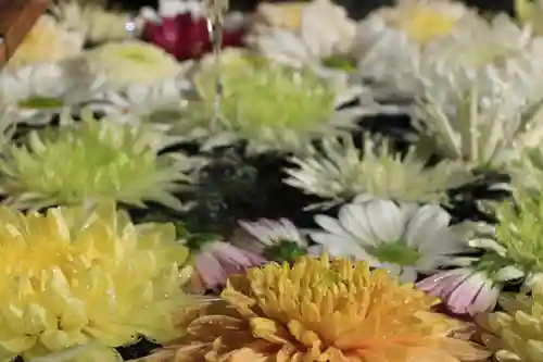  岳温泉神社 の手水